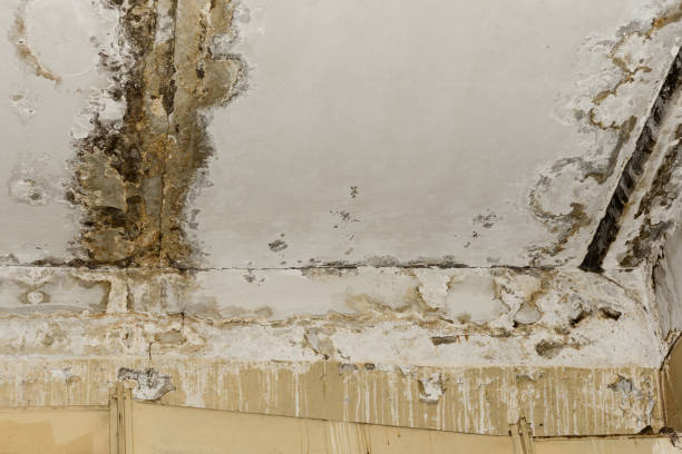 Asbestos and Lead Testing During Mold Inspection in Jamaica Beach, TX